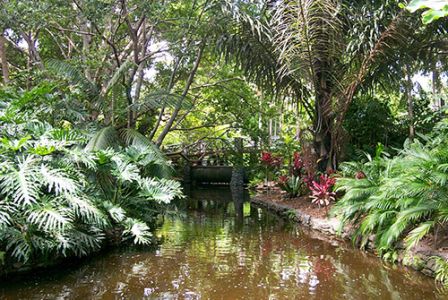 Brisbane Botanic Gardens Mt. Coot-tha 