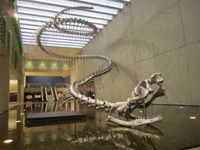 Queensland Gallery Of Modern Art 